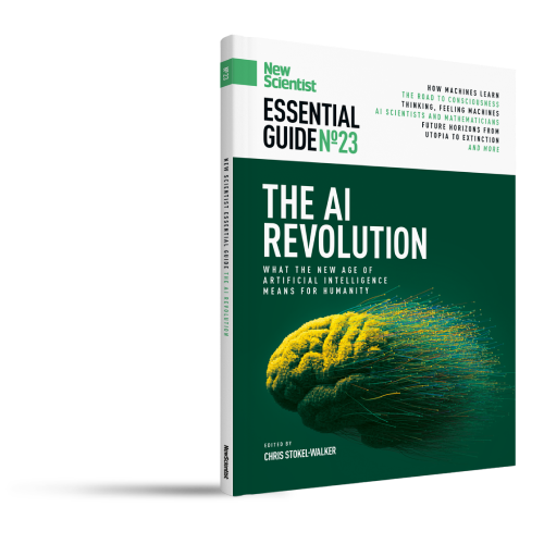 The AI Revolution