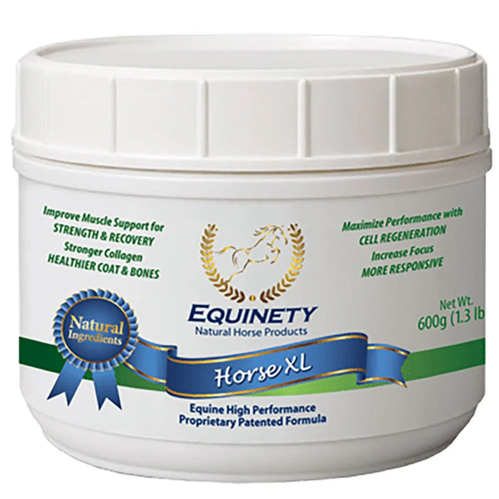 Equinety Horse XL
