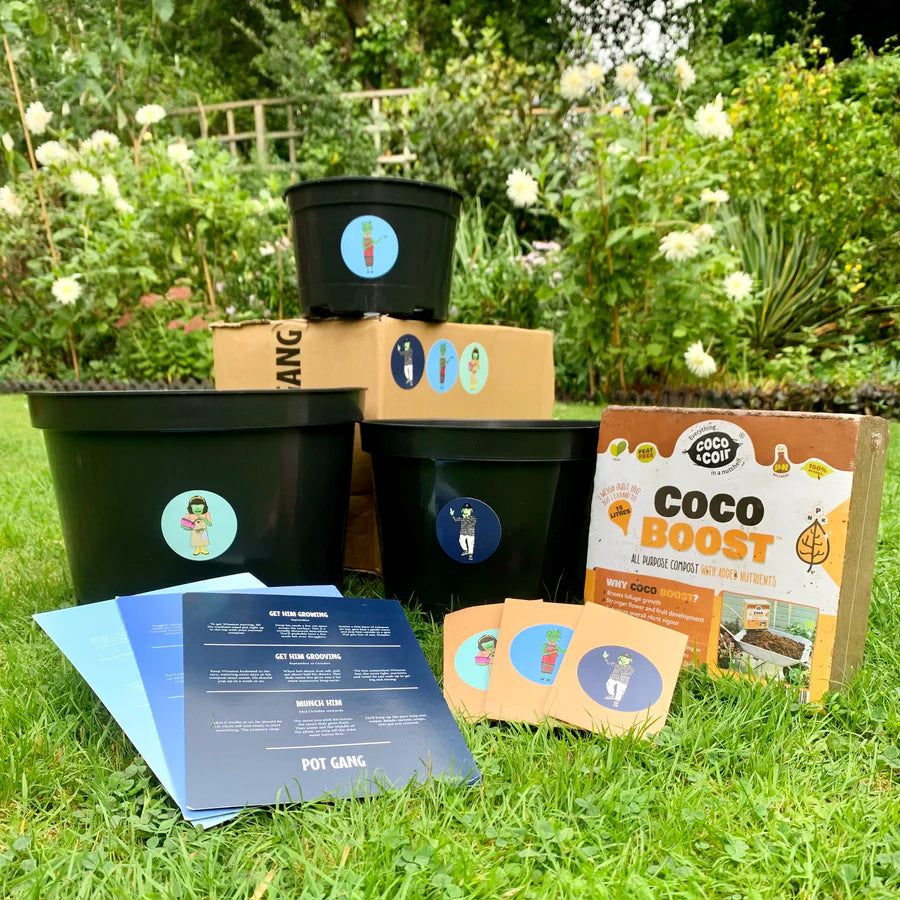 August Monthly Grow Box