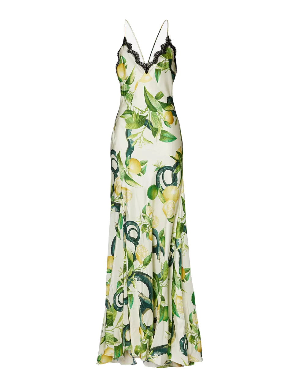 ROBERTO CAVALLI V-neck graphic-print silk maxi dress