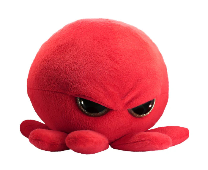 Grumpy Baby Octopus